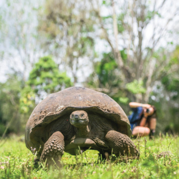 Family fun in the Galápagos