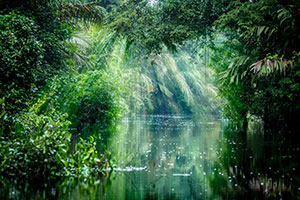 Manaus (Amazon River)/San Juan