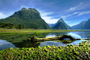 Auckland/Dunedin (Port Chalmers)