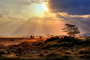 Africa/Victoria Falls